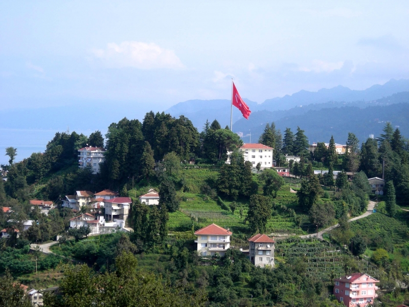 Rize Ziraat Çay Bahçesi