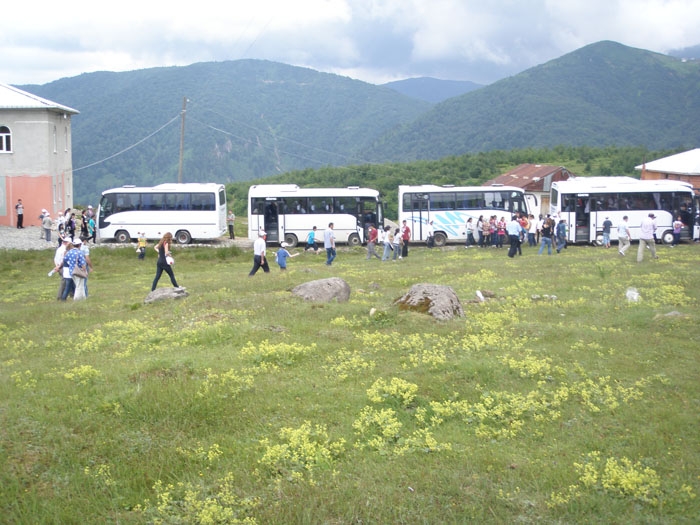 Güneysu Handüzü Resimleri