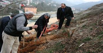 Güneysu Fidan Dikimi Projesi Yapıldı