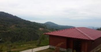 ADALET BAKANI KENAN İPEK GÜNEYSU DA