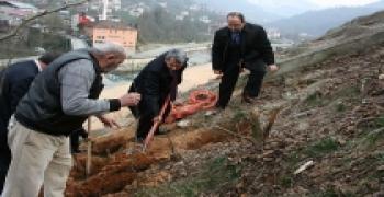 GÜNEYSU FİDAN DİKİMİ PROJESİ YAPILDI